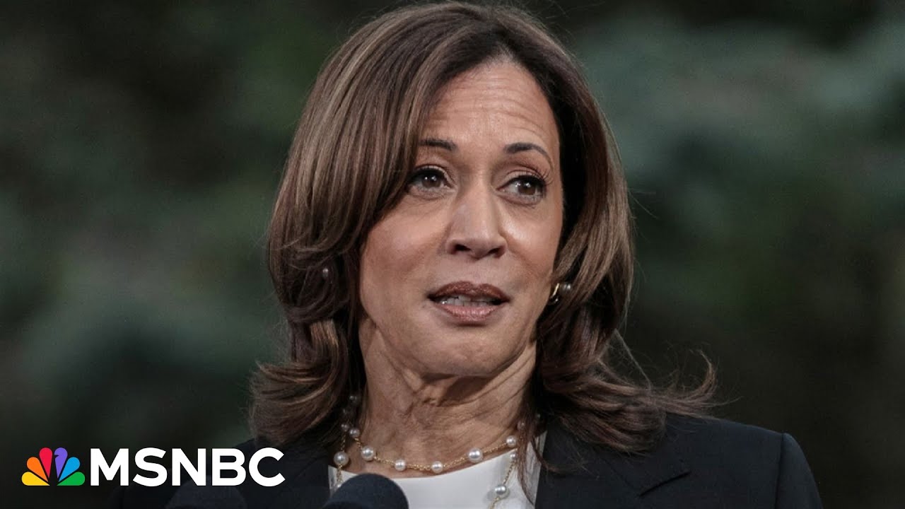 ‘Messaging and messengers’ are critical to Harris in battle for Black male vote: Rev. Al Sharpton