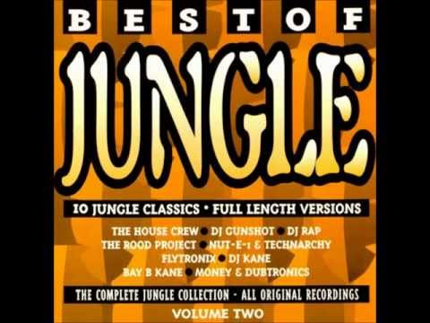 Best Of Jungle Volume Two