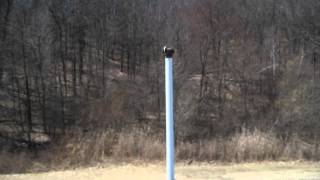 preview picture of video 'Creaky Vent Pipe Cap, Old Champlain Canal Trail, Waterford, NY'