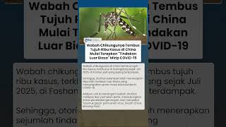 Wabah Chikungunya Tembus 7 Ribu Kasus di China, Mulai Terapkan 'Tindakan Luar Biasa' Mirip Covid-19