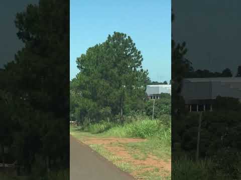 🔴Ruta 6 Colonia Alberdi Misiones 🇦🇷🇦🇷 #automobile #rutasypaisajes