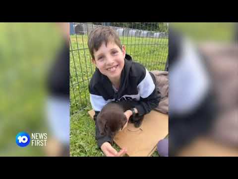 BEAUTIFUL JACK: 11-year old Jack Davey's father has paid tribute to his beautiful son.