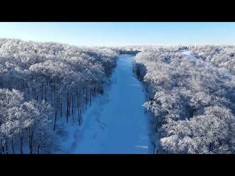 Anne Dudley - The Snow Dances (Official Music Video)