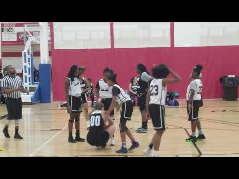 Sky's The Limit Lady Ballers vs Michigan Lady Warriors 2018 Pt.1