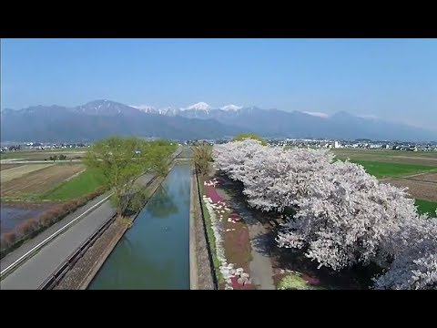 日本長野縣安曇野市觀光動畫