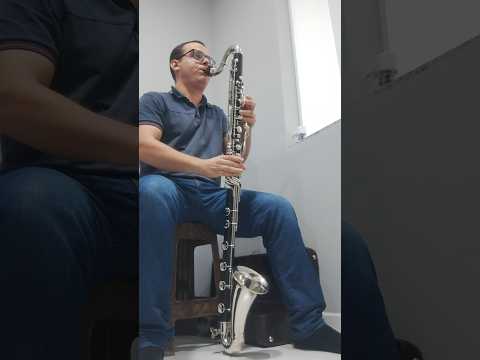 Clarone baixo Gigliotti extensão até dó grave Vendido para Lambari D'Oeste MT  13997320925 WhatsApp