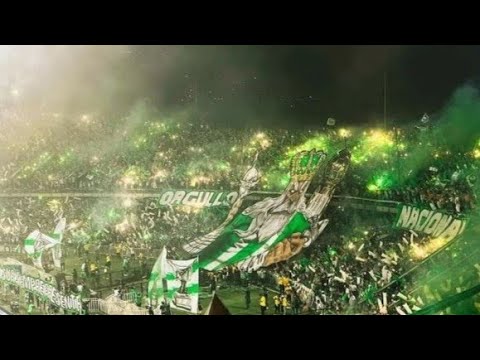 "Recibimiento Atletico Nacional Vs Millonarios Historica! Salida Los Del Sur Y Su Hinchada Verdolaga" Barra: Los del Sur • Club: Atlético Nacional • País: Colombia