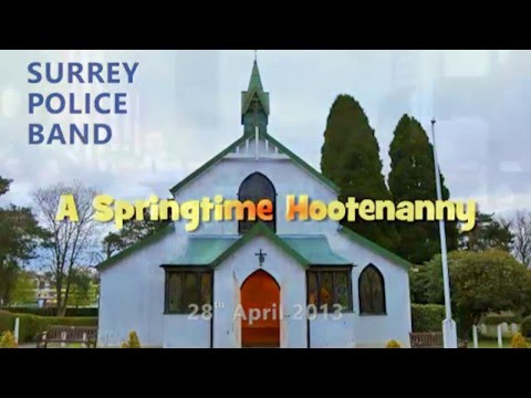 Hootenanny - Harold L Walters