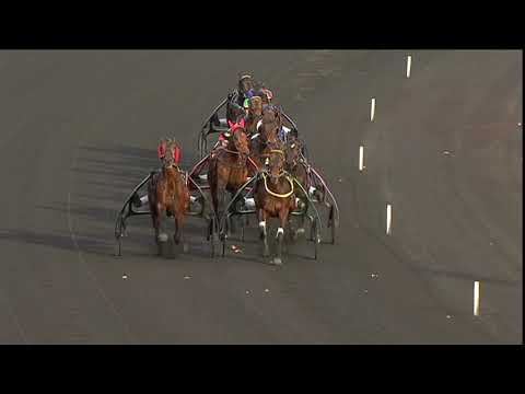 2015 PRIX DE BELGIQUE - LA COURSE - UHLAN DU VAL