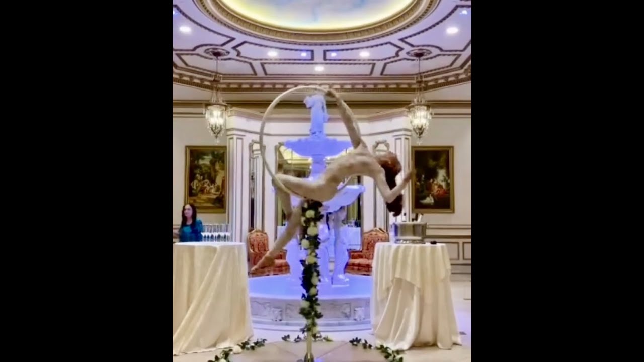 Promotional video thumbnail 3 for Malin Aerial Dance LLC