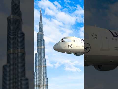 What to do when you're bored #perrospaqui #bored #humor #memes