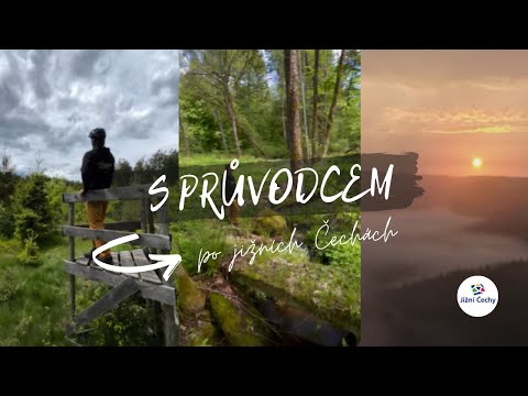 Náhled pro video reference