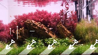 How to trim dwarf hair grass- the 2Hr Way 4K