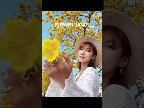 【手機攝影】春暖花開，分享花樹4個出片技巧！秒拍春日氛圍大片 #shorts #photography #photo #smartphone #手機攝影 #旅行 #拍照