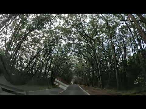 TÚNEL VERDE, RS 040, BALNEÁRIO PINHAL. 4K