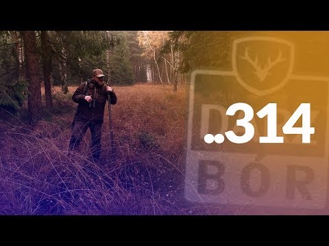 Darz Bór zapowiedź odcinka 314