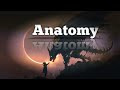 Anatomy NextRO Ringtone Slowed Reverb