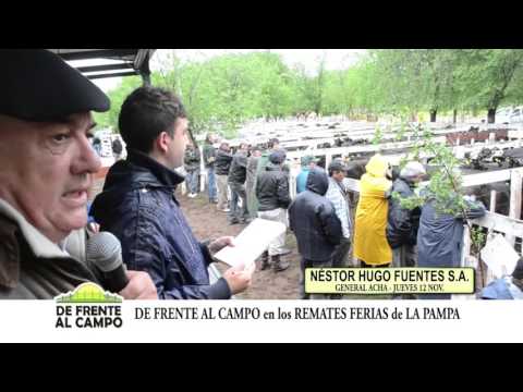 DE FRENTE AL CAMPO junto a NÉSTOR HUGO FUENTES S.A.- Remate Jueves 12 de Nov. de 2015-