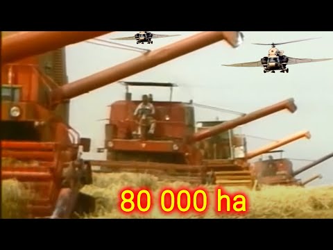 Największy Kombinat w Europie 👉 80 000 ha 👉 35 tys pracowników 👉 Dlaczego upadł gigant?