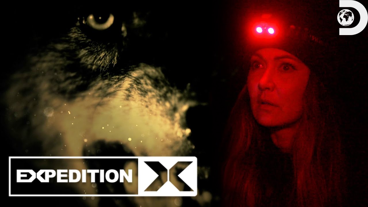 YouTube Thumbnail Downloader FULL HQ IMAGE