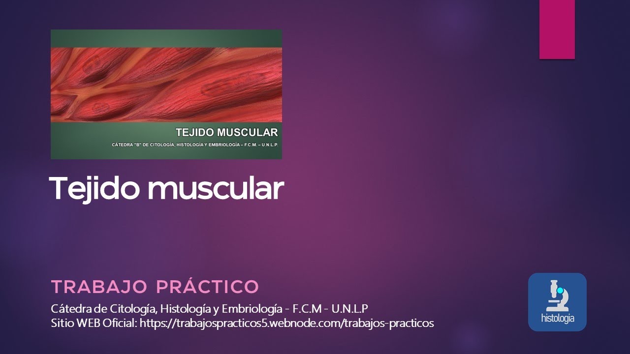 TEJIDO MUSCULAR - TRABAJO PRÁCTICO