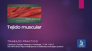 TEJIDO MUSCULAR - TRABAJO PRÁCTICO
