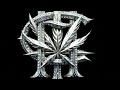 THC BRAND LOGO