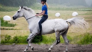 Nobility without conceit, friendship without envy.