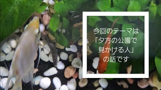 【雑談動画】今回のテーマは｢夕方の公園で見かける人｣について