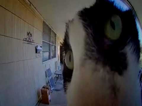 Dark Techno / EBM / Industrial Bass Mix 'VI'