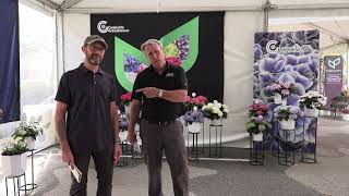 California Spring Trials 2026: ThinkPlants