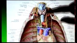 Laura Marling - My Friends