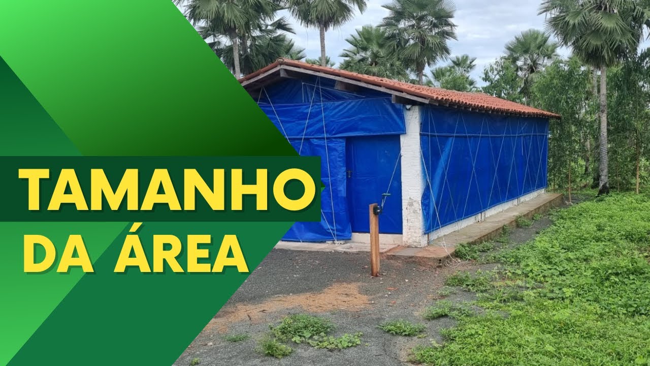 TAMANHO DA ÁREA para CRIAÇÃO de GALINHAS