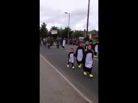Totton carnival 1of 2