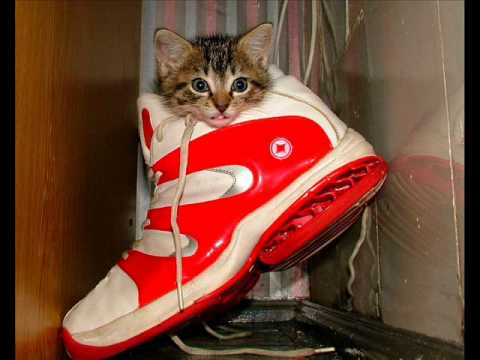 prikolas mano batai buvo du