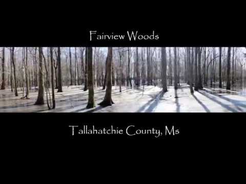 Archive 33 Video thumbnail