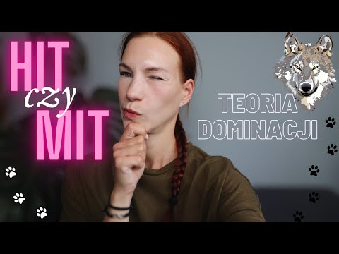 Teoria dominacji - HIT CZY MIT ?
