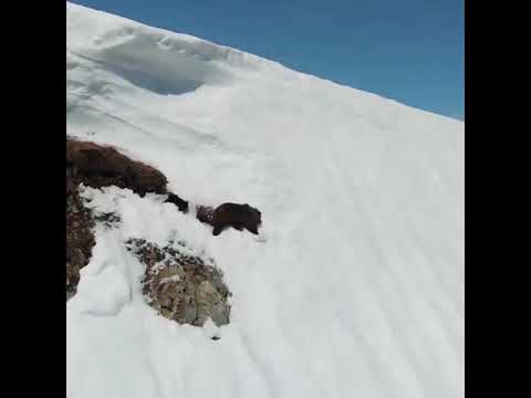 Best Motivational Video #motivation #motivational #motivationalvideo