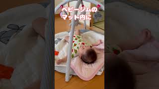 ガサガサ音が好きすぎる / Love rustling noise #shorts