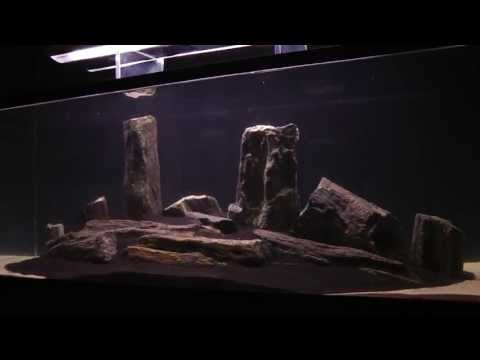 Arizona Aquascape Hardscape 360° View by James Findley