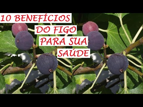 , title : '10 benefícios do figo para sua saúde'