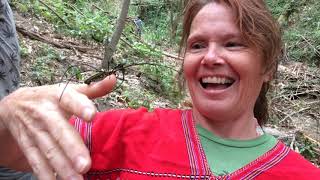 John Denver - Poems, Prayers, and Promises