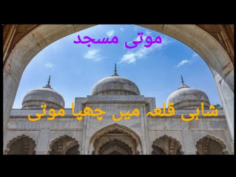 What a Jewel within Shahi Qilla  #travelwithazeem #lahoretourism