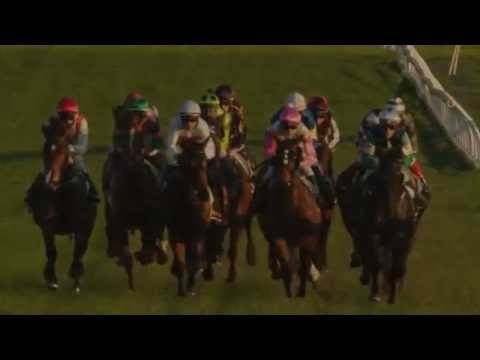 Moody On The Mic - Caulfield Cup Edition