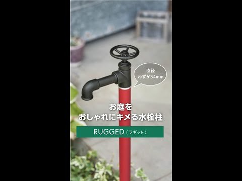 庭の卵殻粉末: 成功の秘訣を発見する  庭園