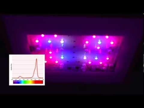 New SolarFlare 110 LED Grow Light:  Punches above its weight