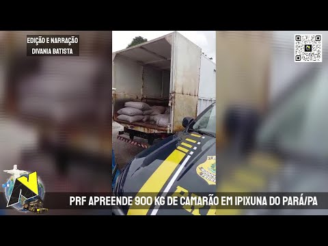 PRF apreende 900 kg de camarão em Ipixuna do Pará PA