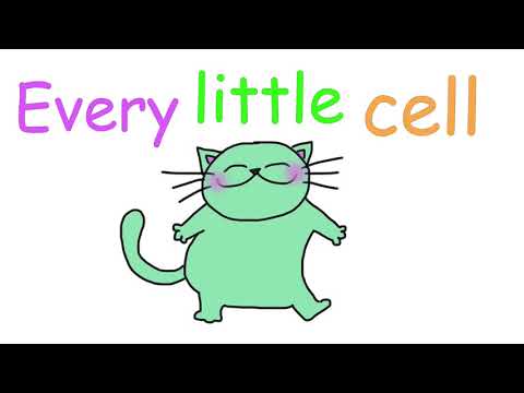 Video: Every little cell (EN)