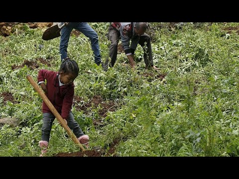 Der Nachrichtenspiegel