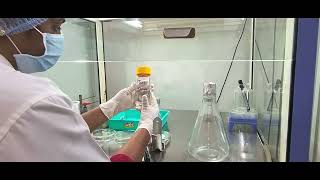 Download lagu E.coli & Coliform bacteria in Drinking Water. mp3 Download lagu E.coli & Coliform bacteria in Drinking Water. mp3